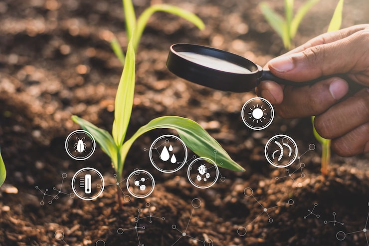 man-s-hand-is-using-magnifying-glass-illuminate-seedling-corn-technology-icons-are-all-around_38663-879 man-s-hand-is-using-magnifying-glass-illuminate-seedling-corn-technology-icons-are-all-around_38663-879